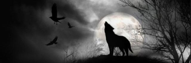 wolf_alba's profile banner image