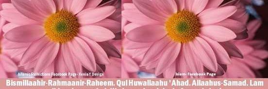 18dfcb65476e4a3's profile banner image