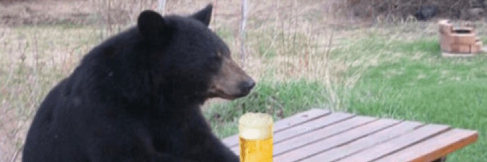 Jamesteeze's profile banner image