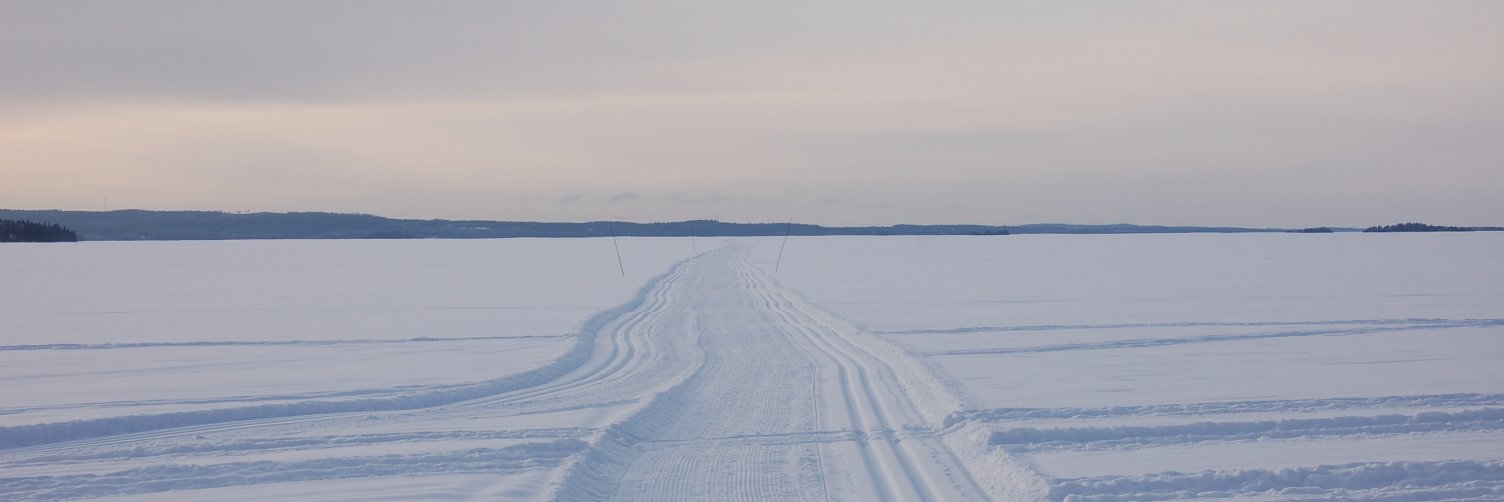 Sanna Vauranoja banner