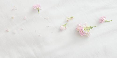 Mellia_TT's profile banner image
