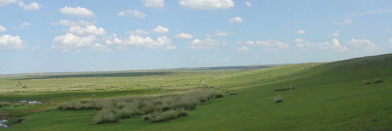 Sean banner