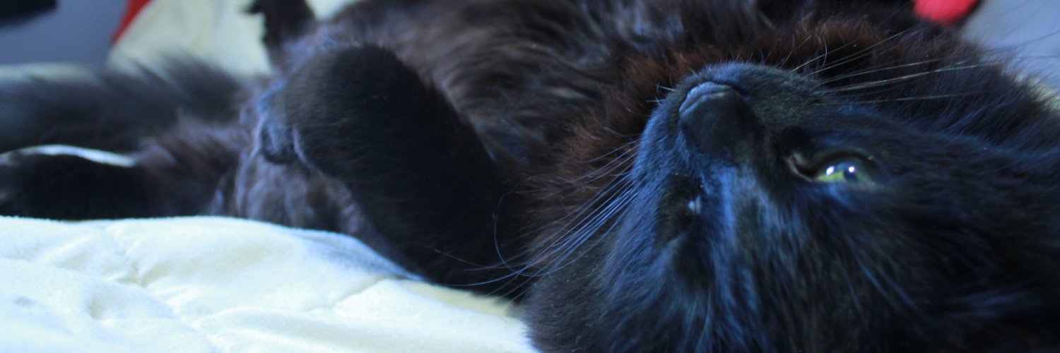 Krist0ffel's profile banner image