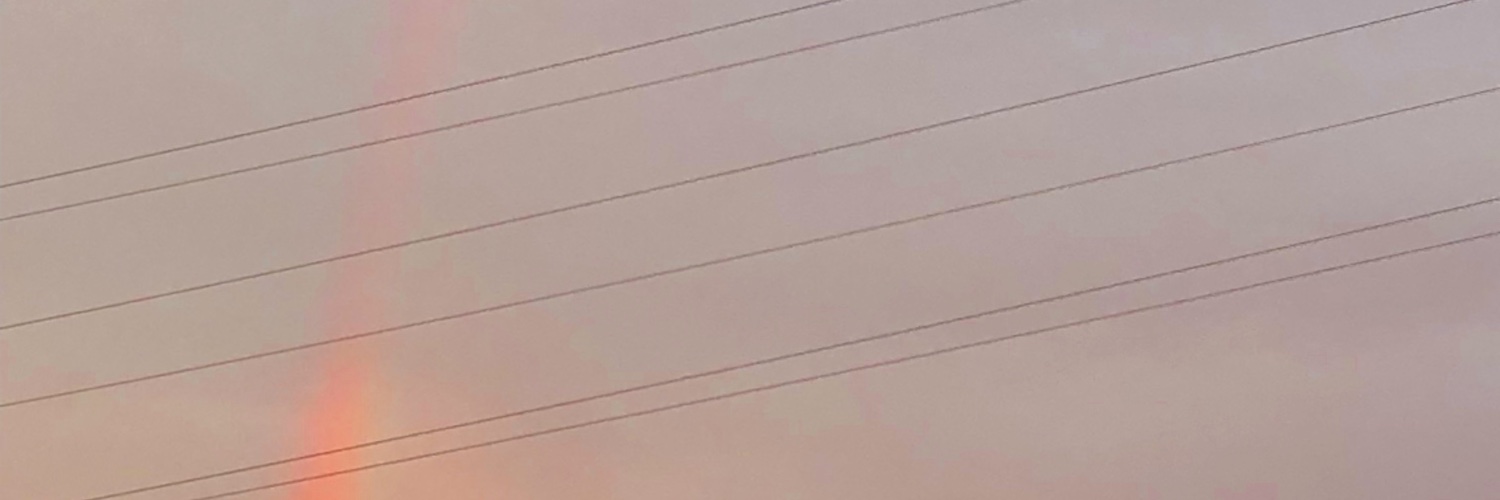 veronicocoa's profile banner image