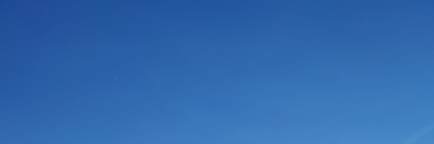 Nebja banner