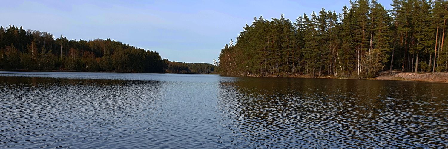 treegreentgz's profile banner image