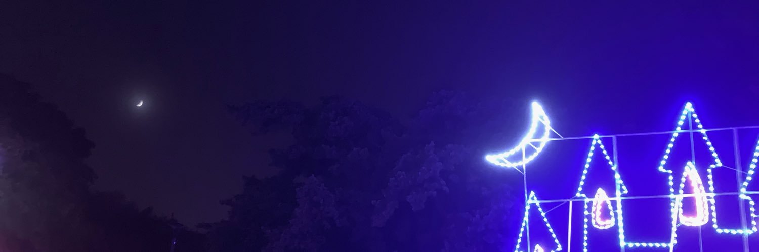lor__raine's profile banner image