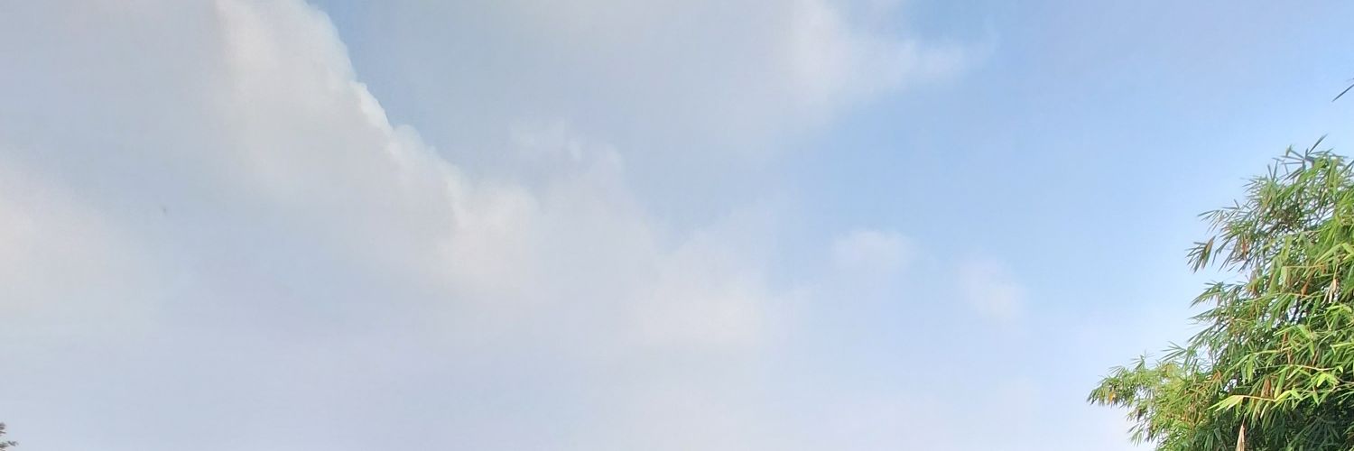 nallzeze's profile banner image