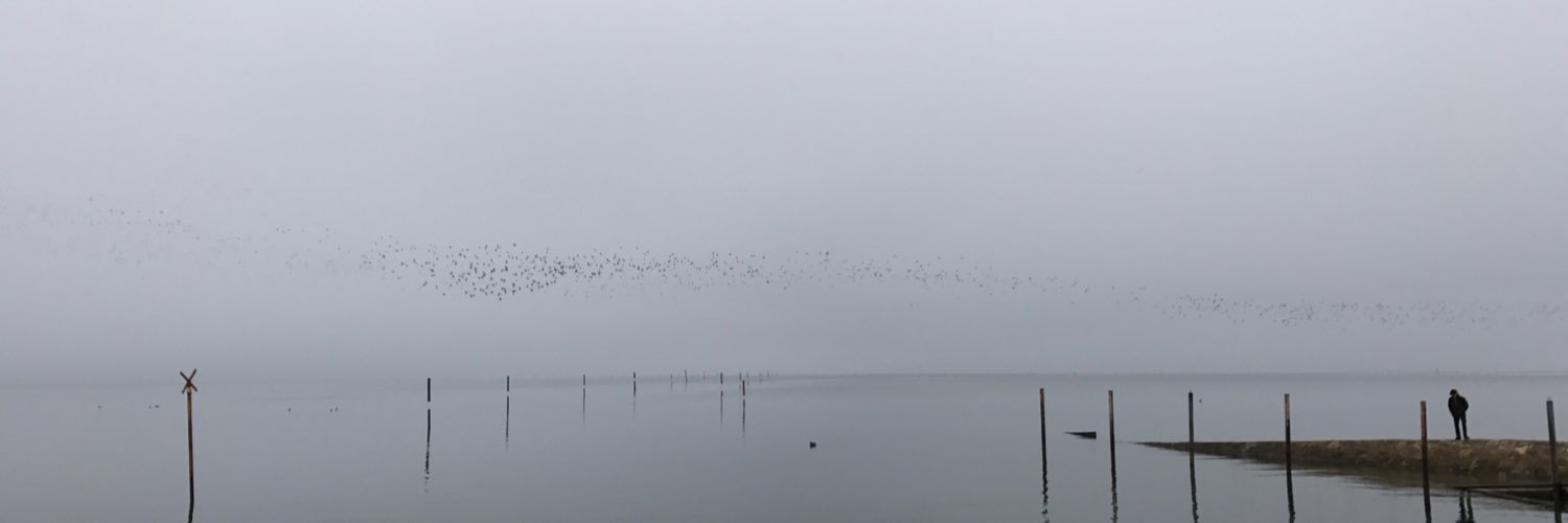 Patrick Fournié banner