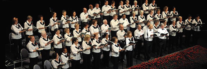 DarwinChorale's profile banner image