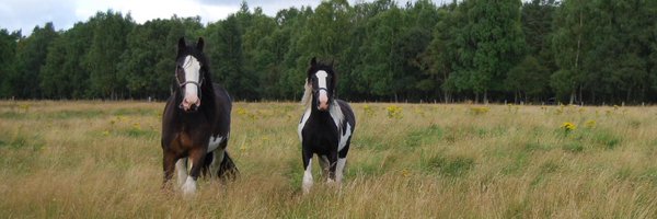 Leezay4 Profile Banner