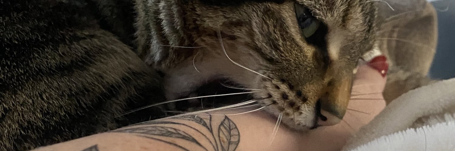 ireeneee_lopez's profile banner image
