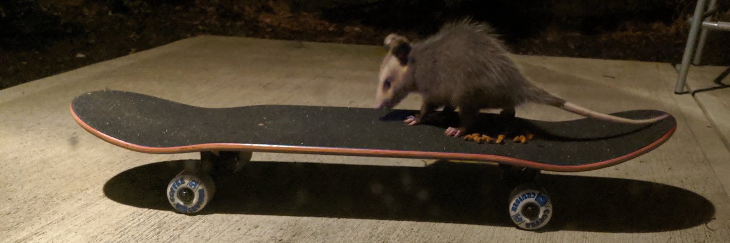 frequencles's profile banner image