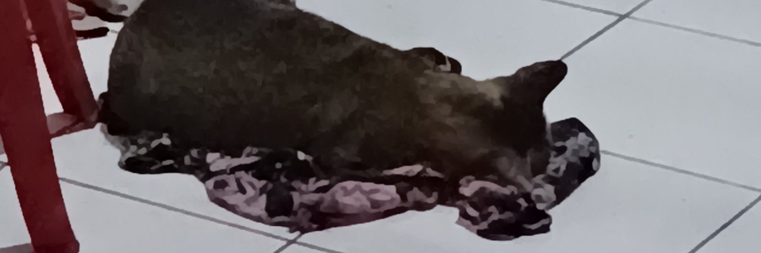mynmlunar's profile banner image