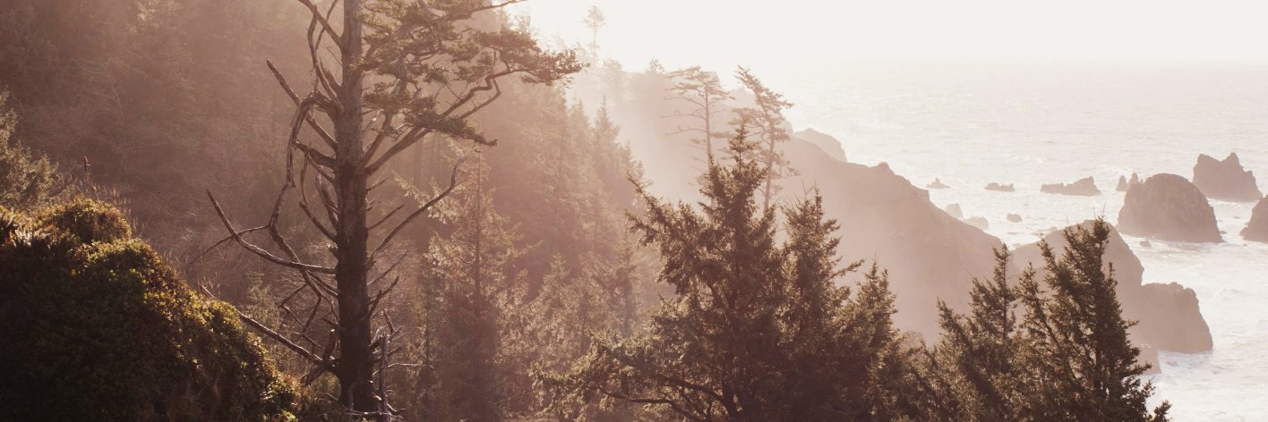 annapidcamp's profile banner image