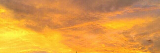 aguidoadri's profile banner image