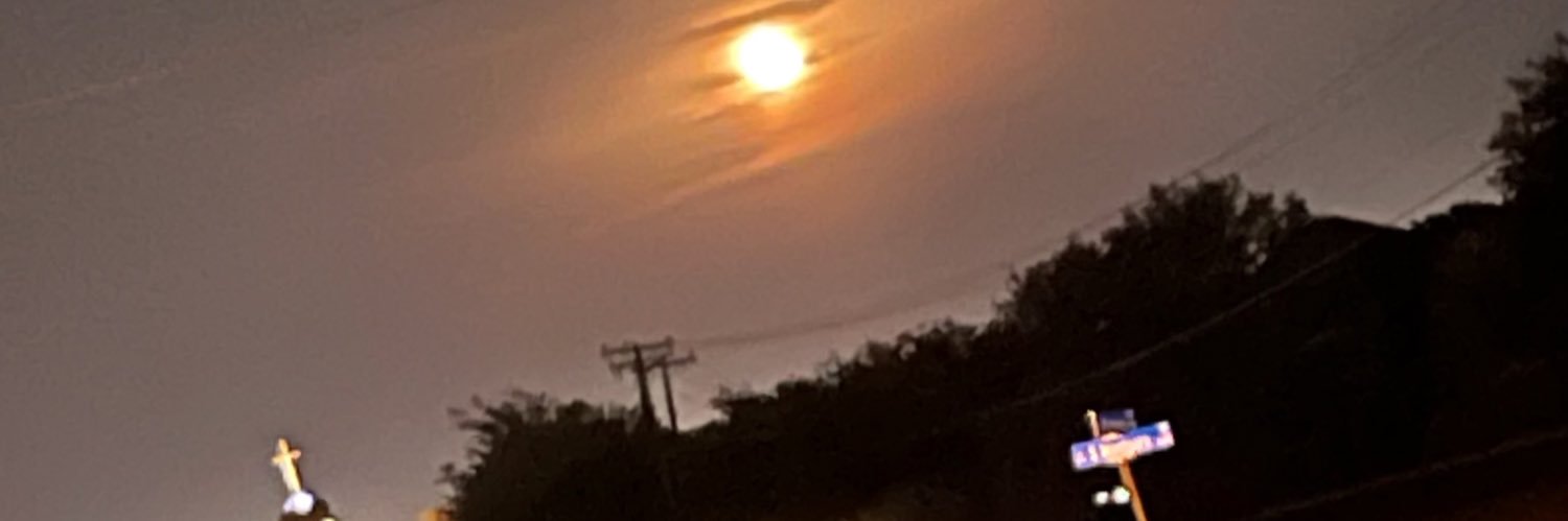 bbea2241's profile banner image