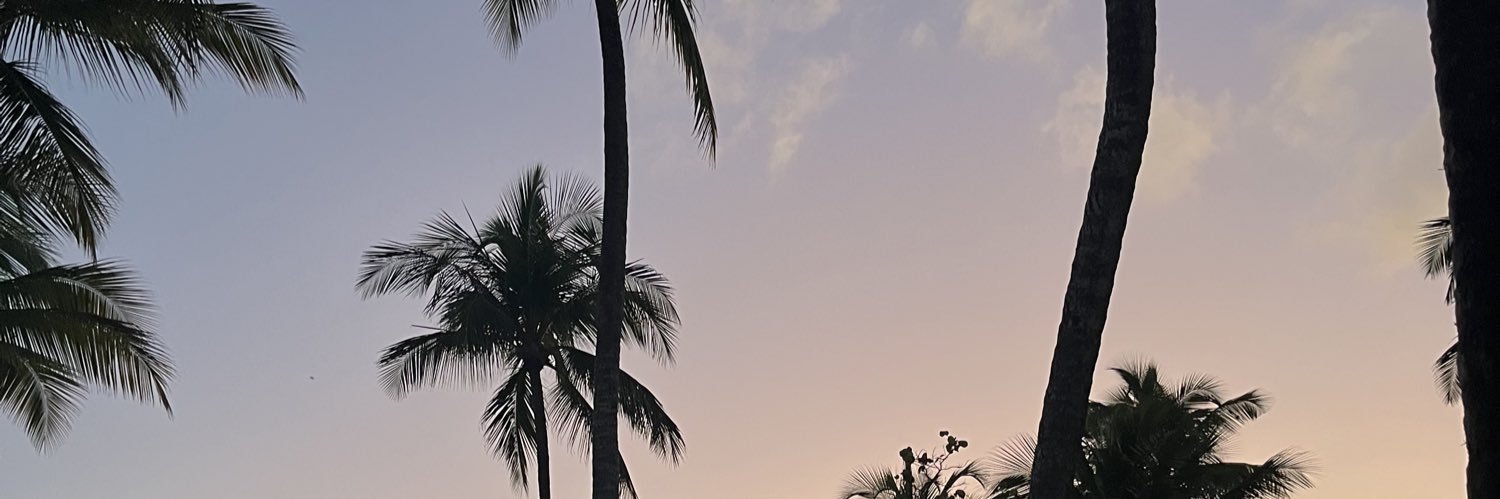 manoooonls's profile banner image