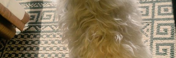 finningan15's profile banner image