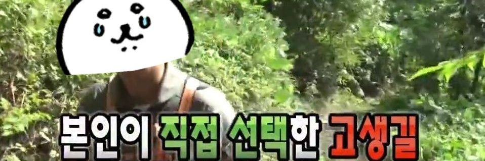 mioky23w's profile banner image