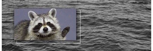 puerrranger's profile banner image