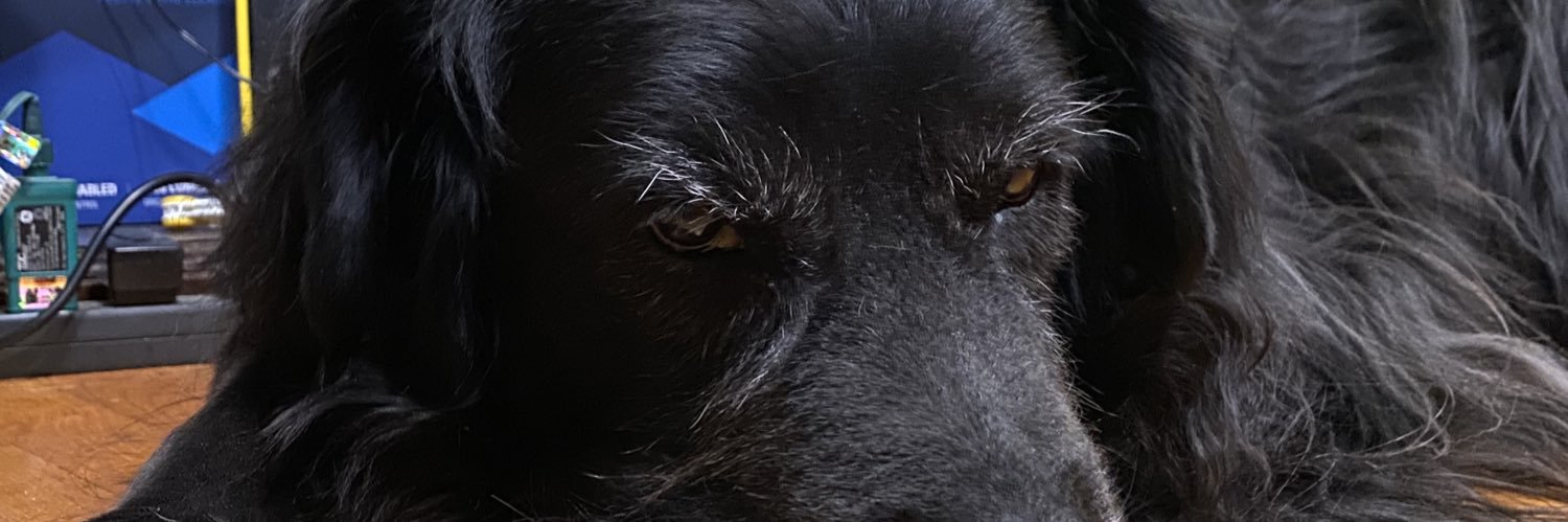 JaxAndJake | Twitch banner