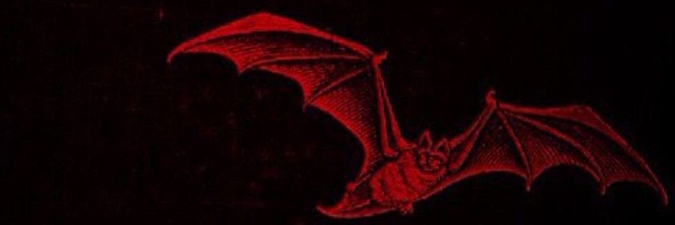 reforgetxs's profile banner image