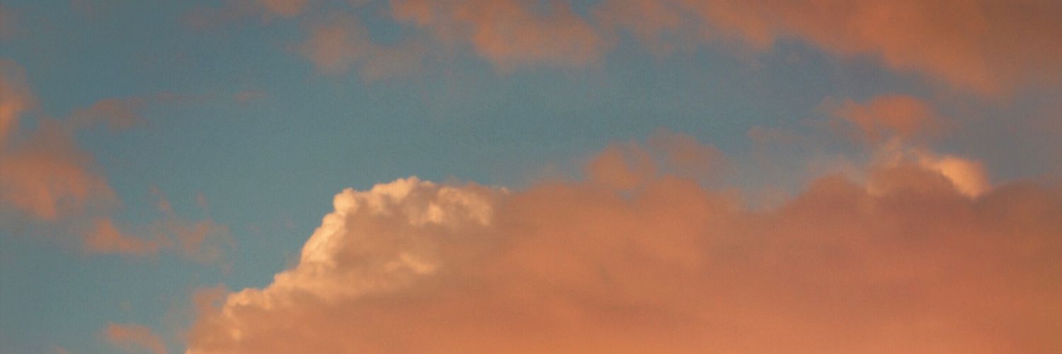 Baeotica's profile banner image