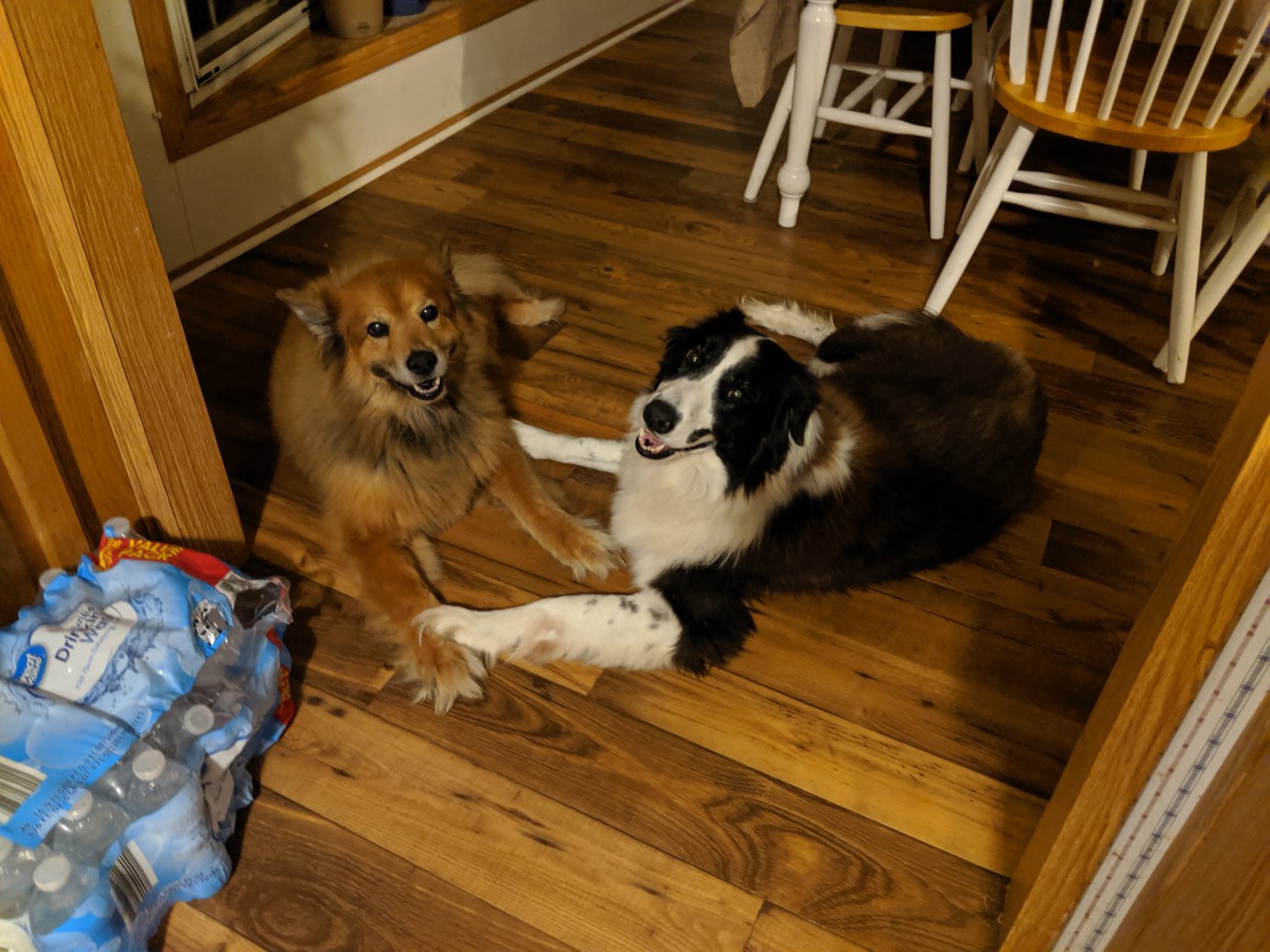 Crypto Wolverine banner