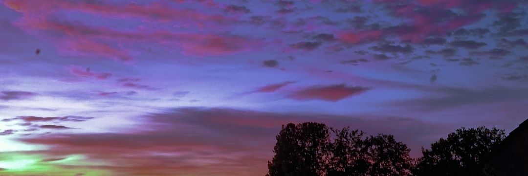 alfajerz's profile banner image