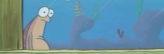 İsmail Türküsev banner