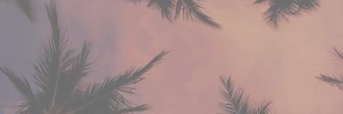 TRIGGERJAUREGUI's profile banner image