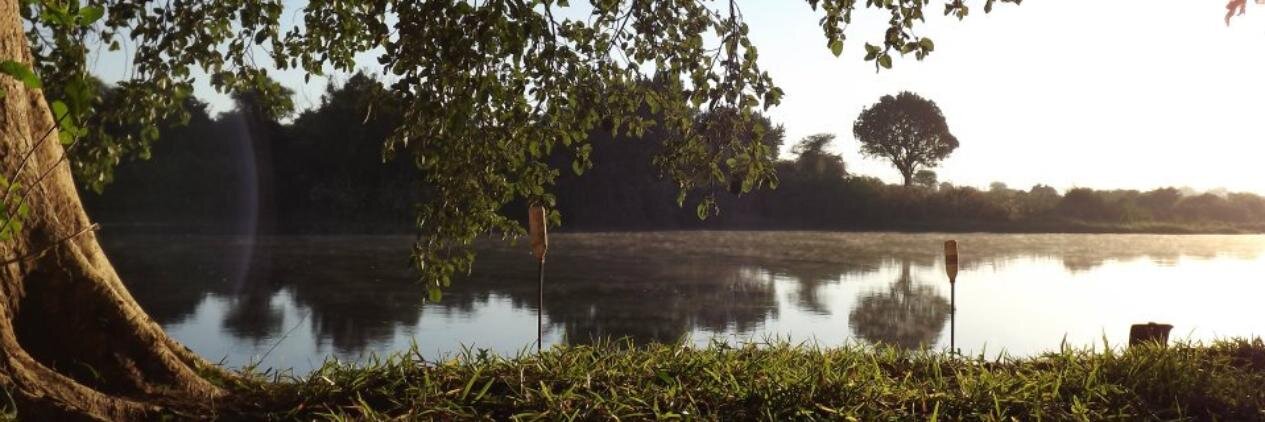 Beth Harrison banner