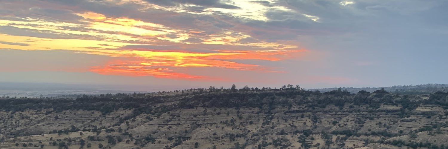 FlindersMadison's profile banner image