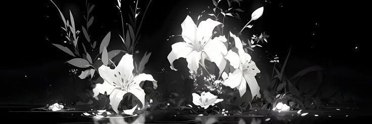 s_ulaval's profile banner image