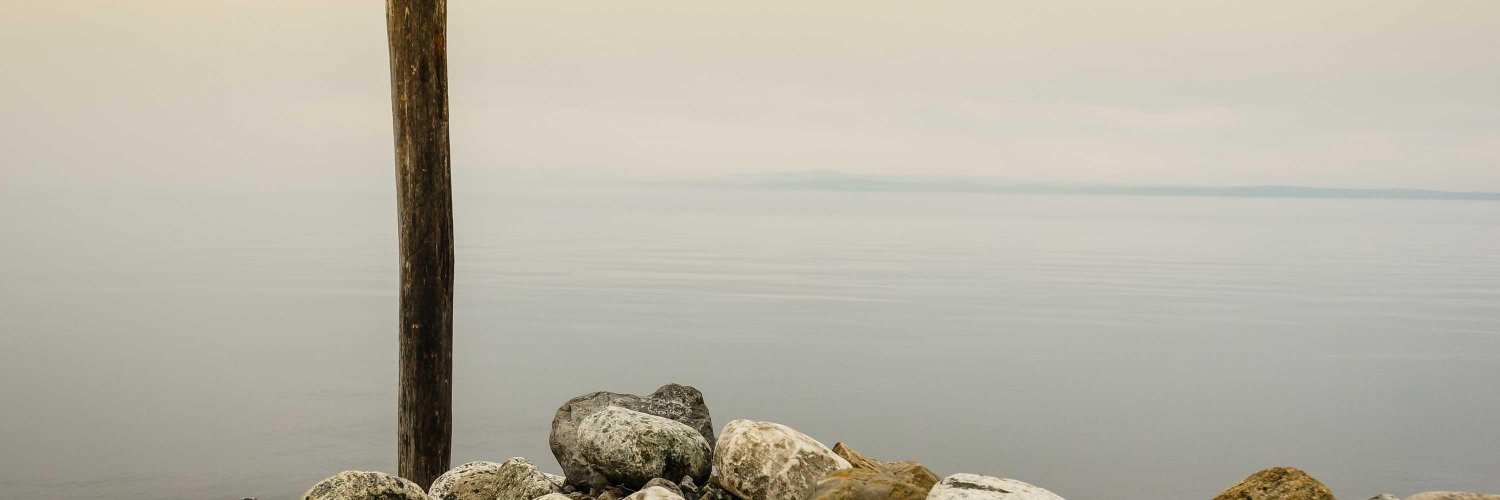 loganren1's profile banner image