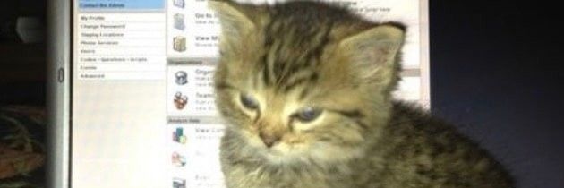afaagh_'s profile banner image