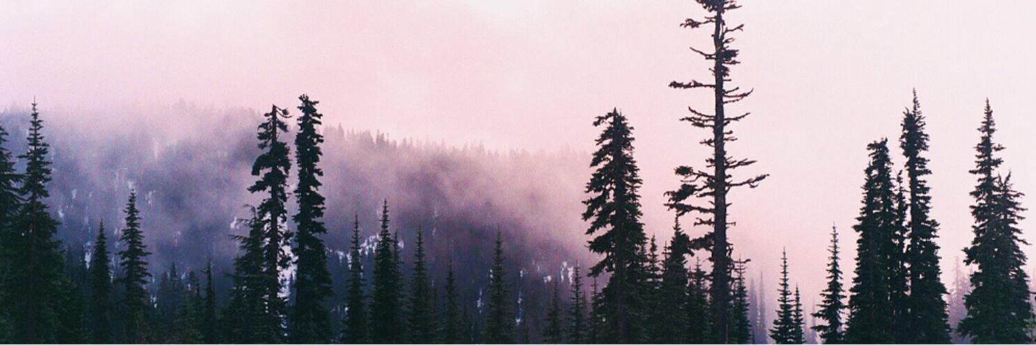 yikesstraub's profile banner image