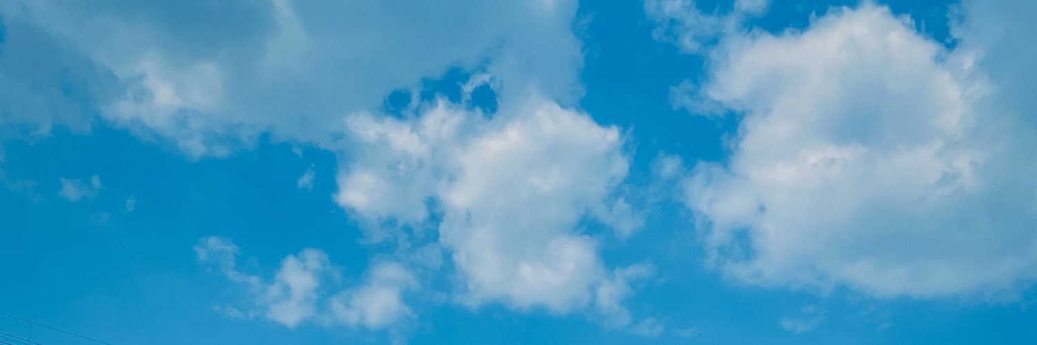 savvbowiee's profile banner image