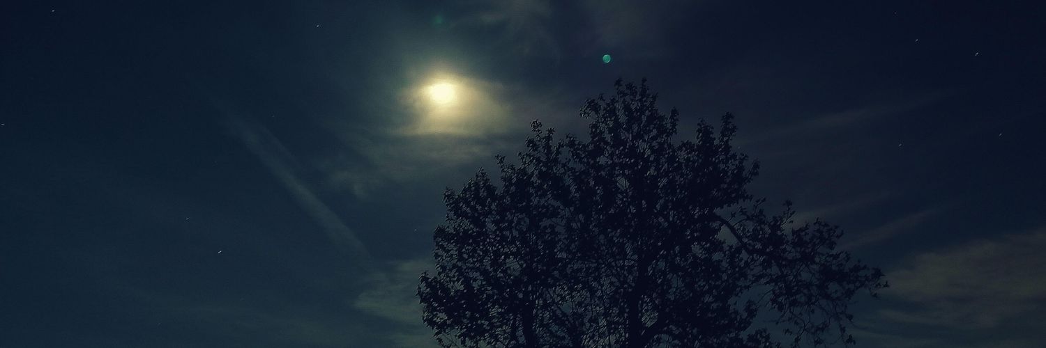DanitheDog79's profile banner image