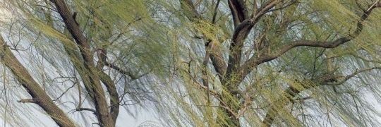 eviadaokkp's profile banner image