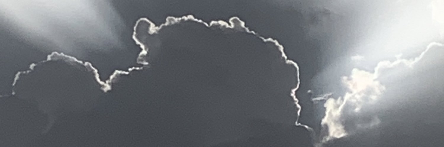 Donmerfoz's profile banner image