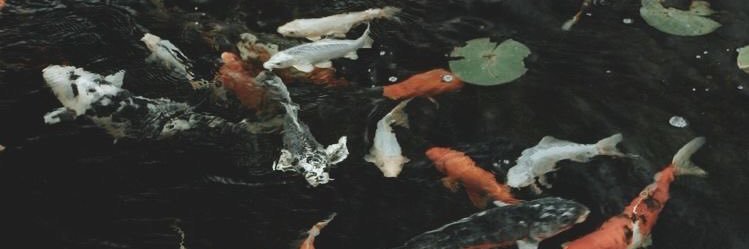 David_Gm0's profile banner image