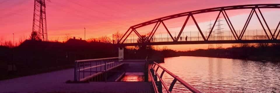 dschoki_'s profile banner image