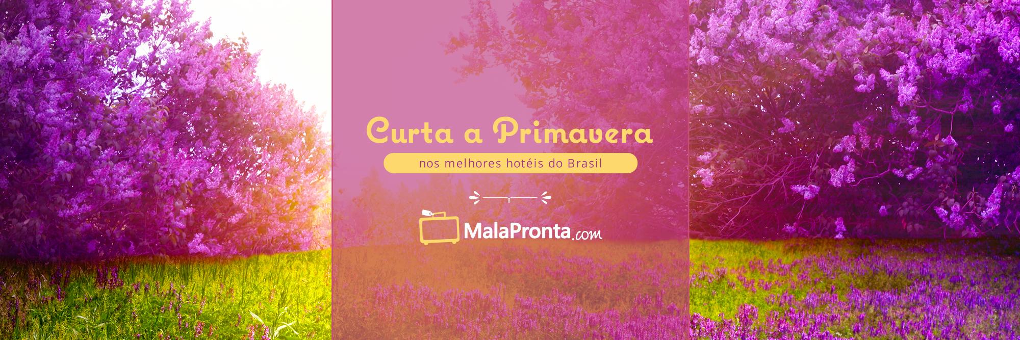 malapronta's profile banner image