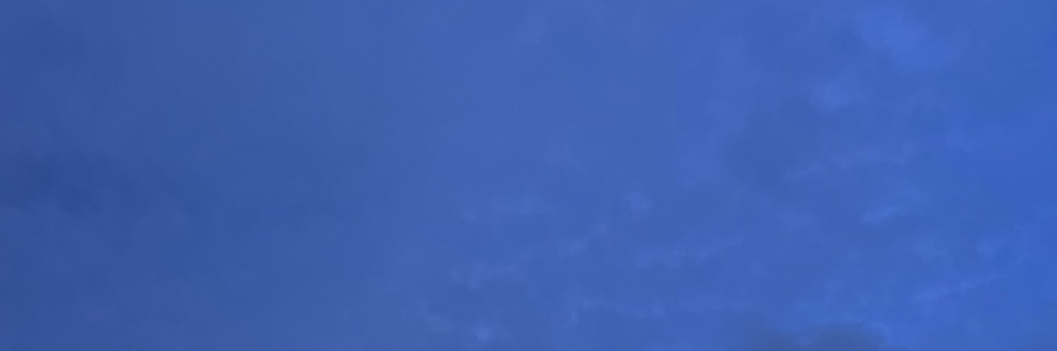 Patty Castillo banner