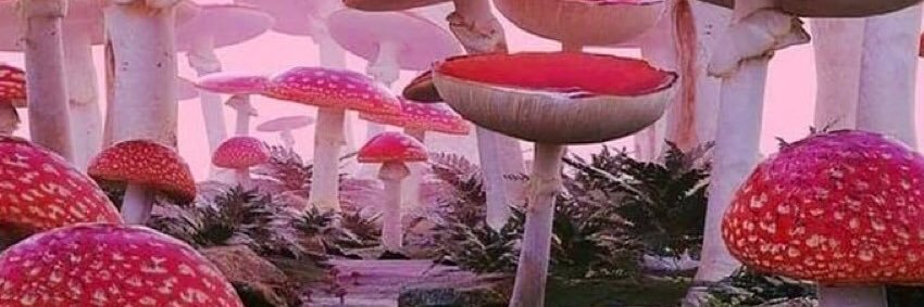 c_juIz's profile banner image