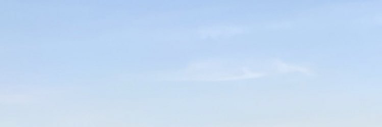 2mickey4s's profile banner image