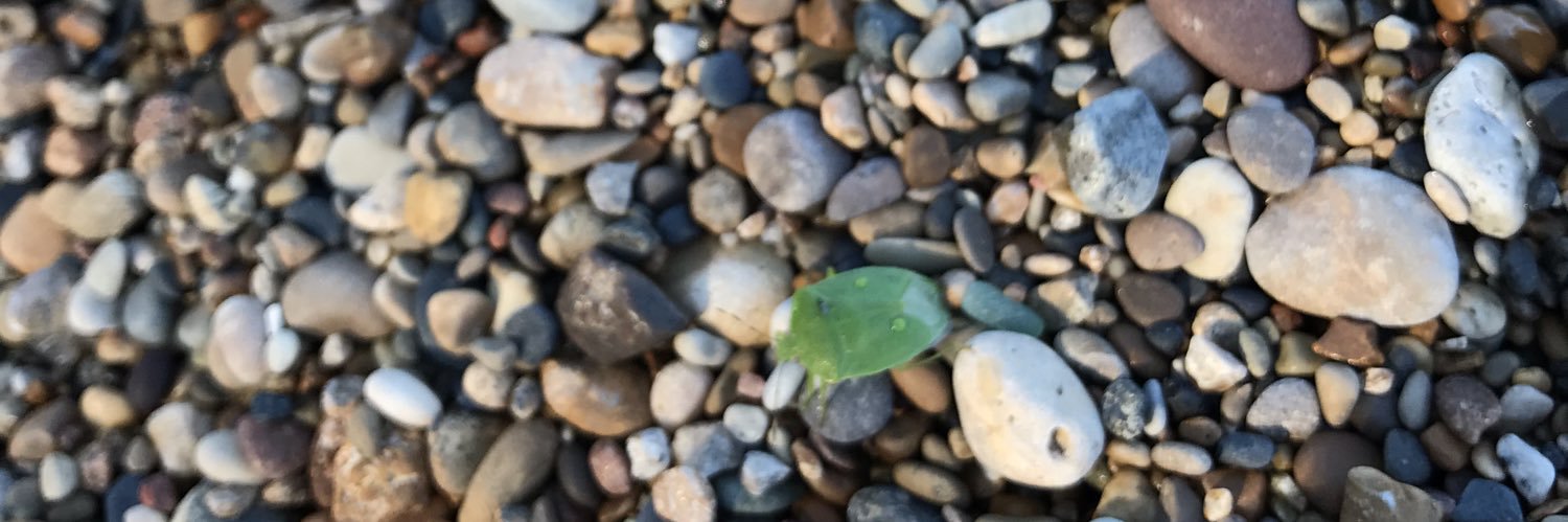 MerWoodTherapy's profile banner image