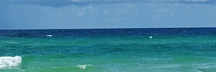 leighlo14's profile banner image